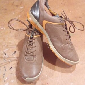 Light Brown ⛳ 👟 with Silver and Gold Accents